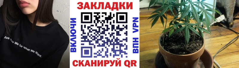 Гашиш Бологое