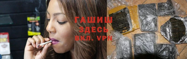 индика Михайлов