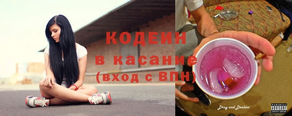индика Михайлов