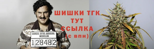 индика Михайлов