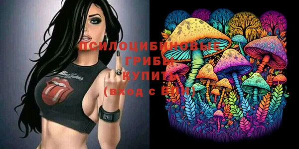 стафф Балахна