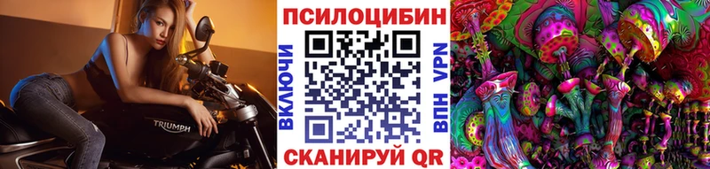Галлюциногенные грибы Psilocybe Бологое